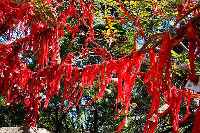 《HOUND: AUTOMATON》登陆Steam 非对称多人竞技